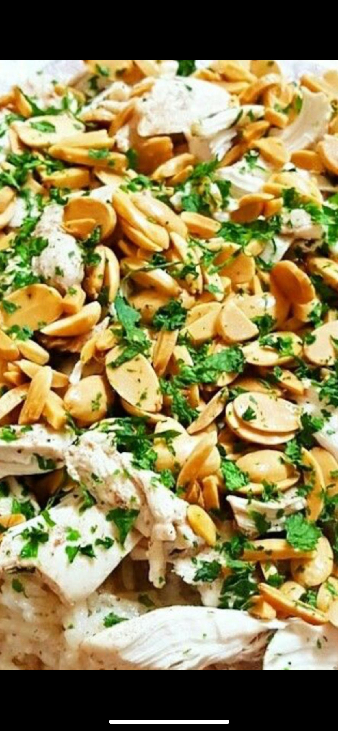 Mansaf Chicken with Nuts